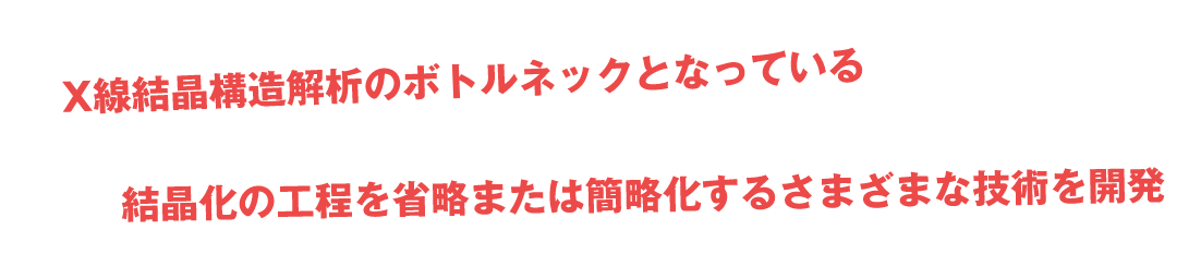 X線結晶構造解析のボトルネックとなっている結晶化の工程を省略または簡略化するさまざまな技術を開発